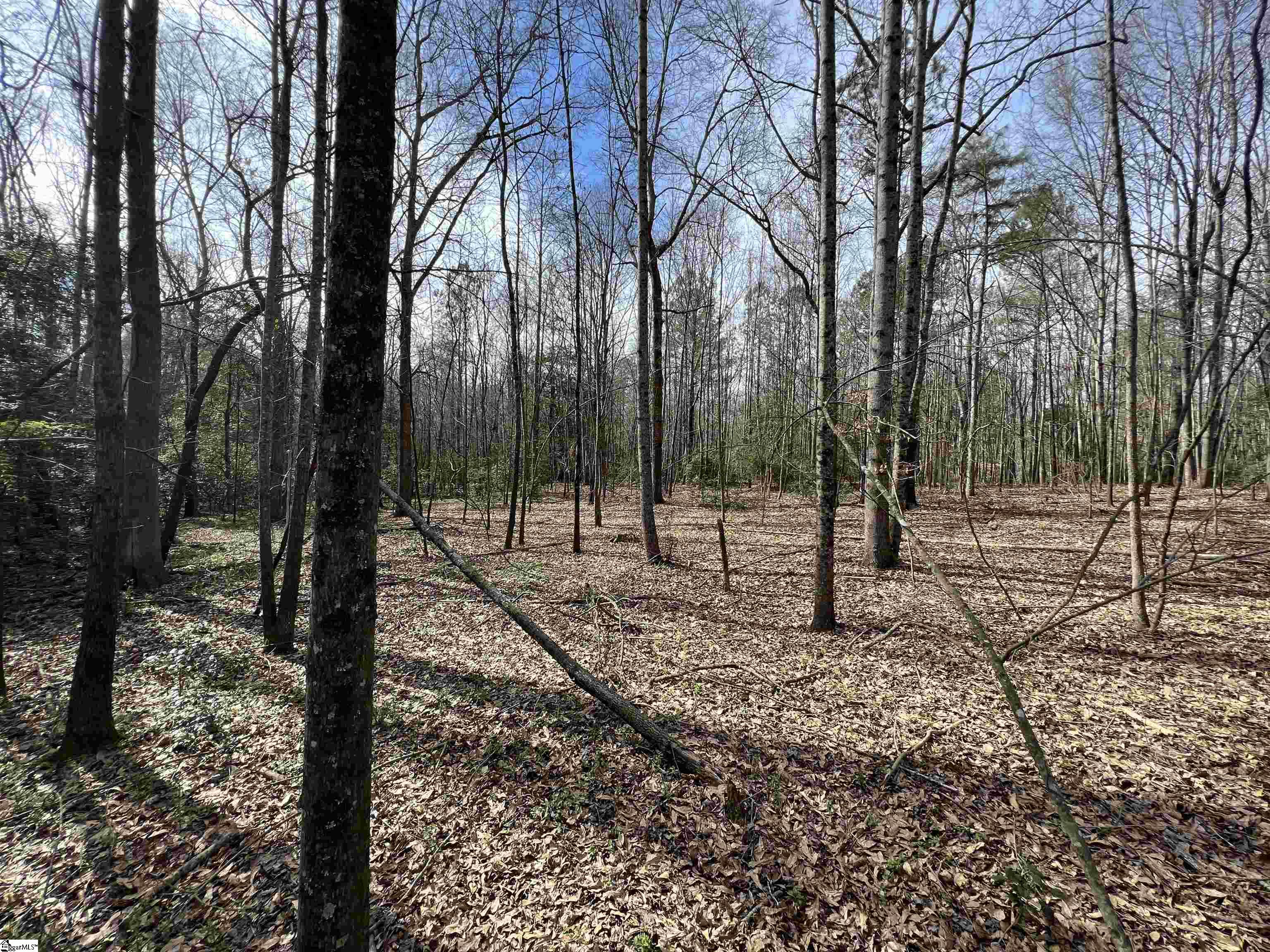 3 Old Bethlehem School Road Pickens, SC 29671 - Photo 8 of 16 Gallery Image 8