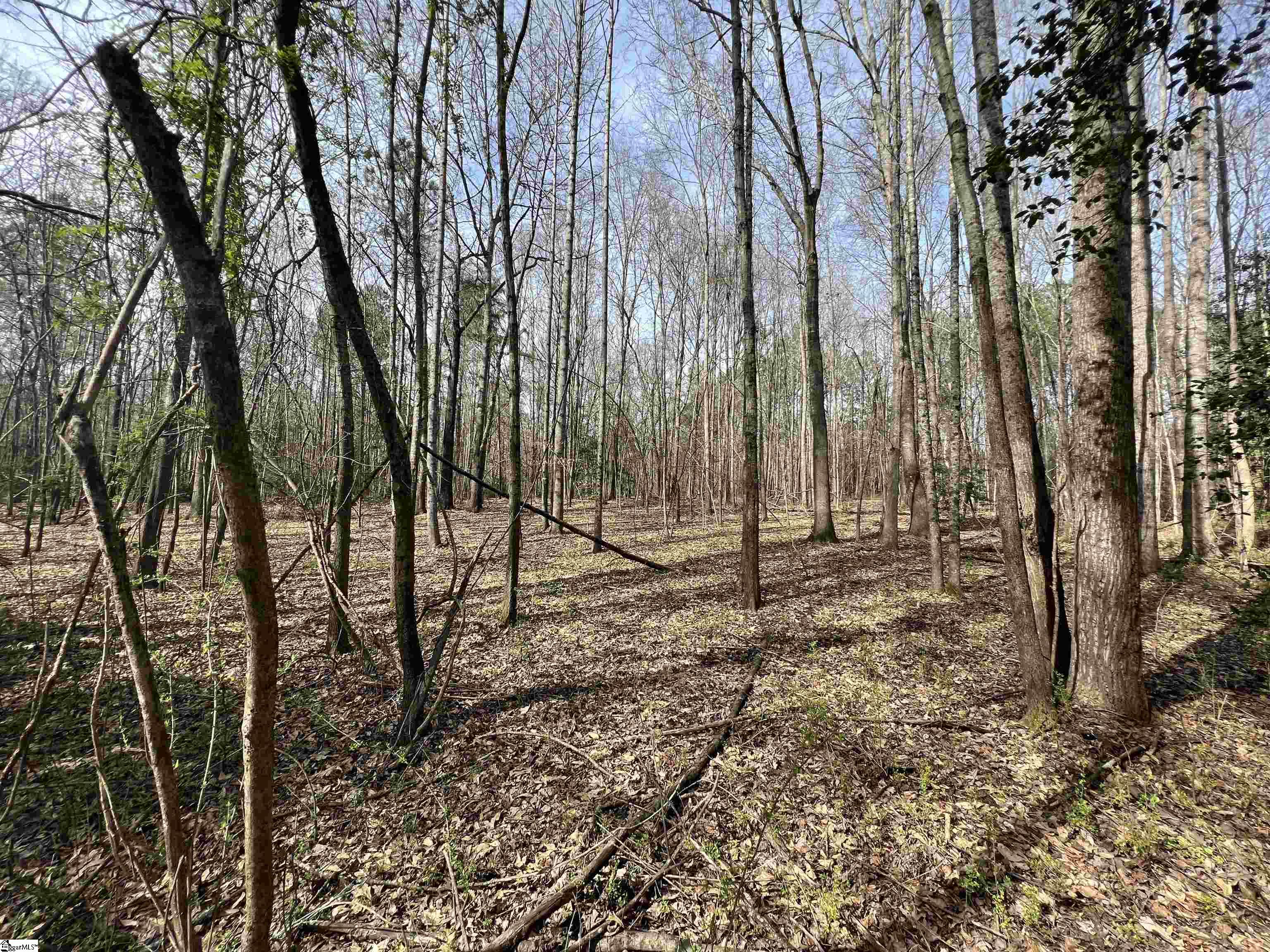 3 Old Bethlehem School Road Pickens, SC 29671 - Photo 10 of 16 Gallery Image 10