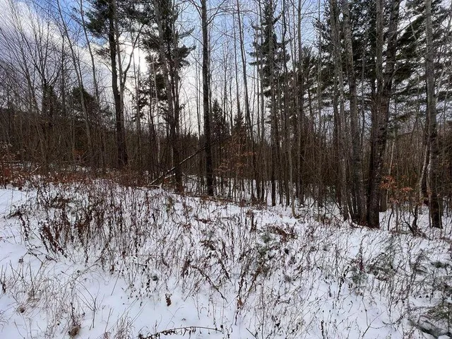 $74,999 | Lot 17 South Rumford Road, Rumford, ME 04276