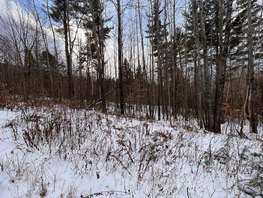 Lot 17 South Rumford Road Rumford, ME 04276 - Photo 12 of 17 20240520205423361031000000-o