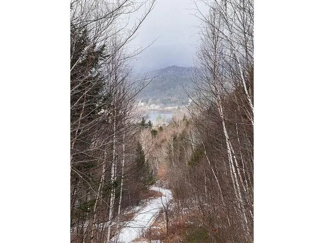 $74,999 | Lot 17 South Rumford Road, Rumford, ME 04276