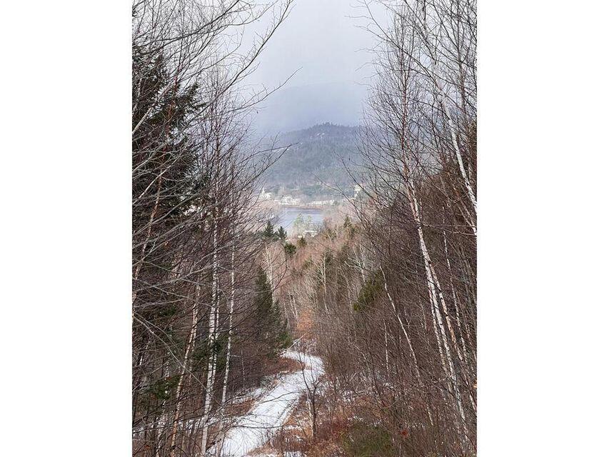 Lot 17 South Rumford Road Rumford, ME 04276 - Photo 13 of 17 20240520205432601491000000-o