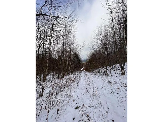 $74,999 | Lot 17 South Rumford Road, Rumford, ME 04276