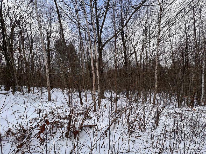 Lot 17 South Rumford Road Rumford, ME 04276 - Photo 5 of 17 20240520205242691463000000-o