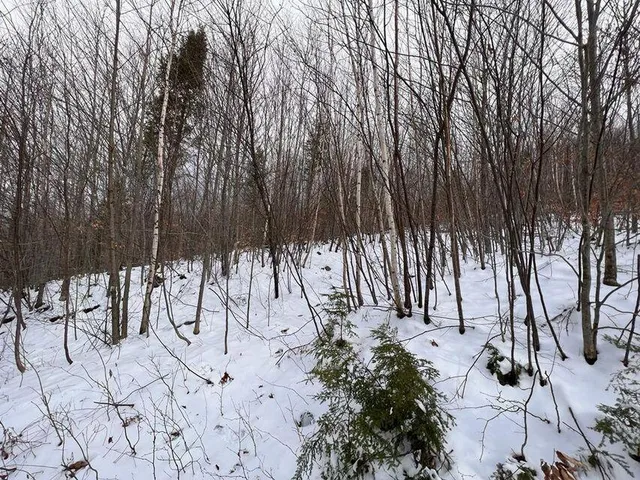 $74,999 | Lot 17 South Rumford Road, Rumford, ME 04276