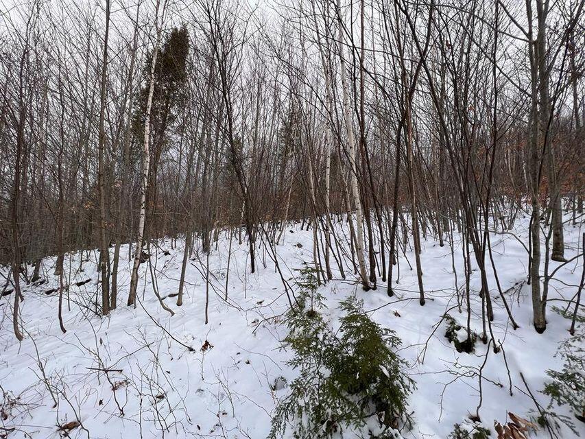 Lot 17 South Rumford Road Rumford, ME 04276 - Photo 6 of 17 20240520205256272132000000-o
