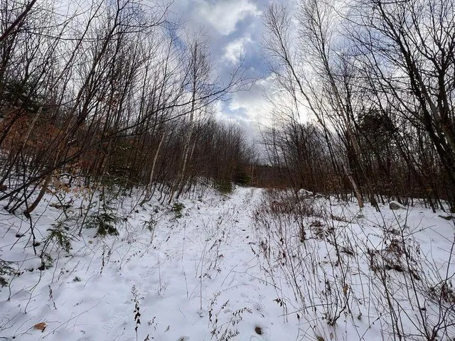 $74,999 | Lot 17 South Rumford Road, Rumford, ME 04276