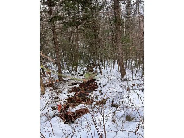 $74,999 | Lot 17 South Rumford Road, Rumford, ME 04276