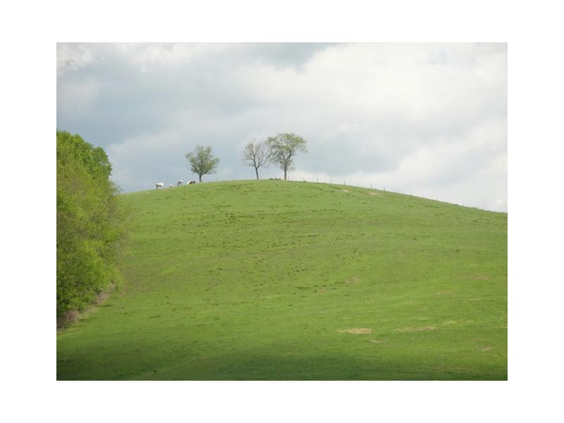 29 Frazee Road Scenery Hill, PA 15360 - Photo 17 of 20 Land/Lot.