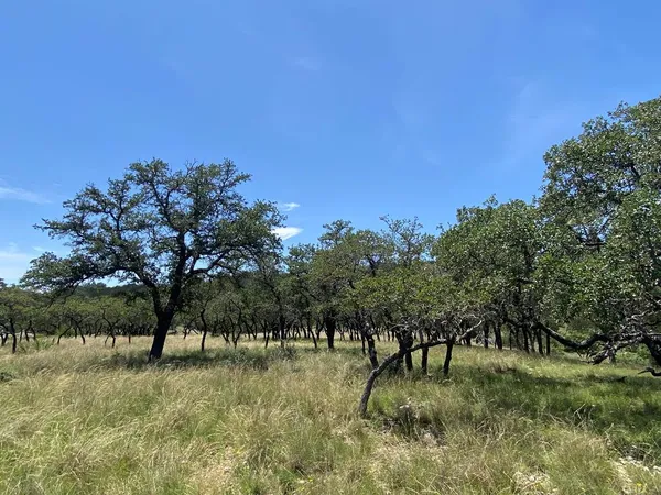 $360,000 | 208 Saddle Wood Trail, Comfort, TX 78013