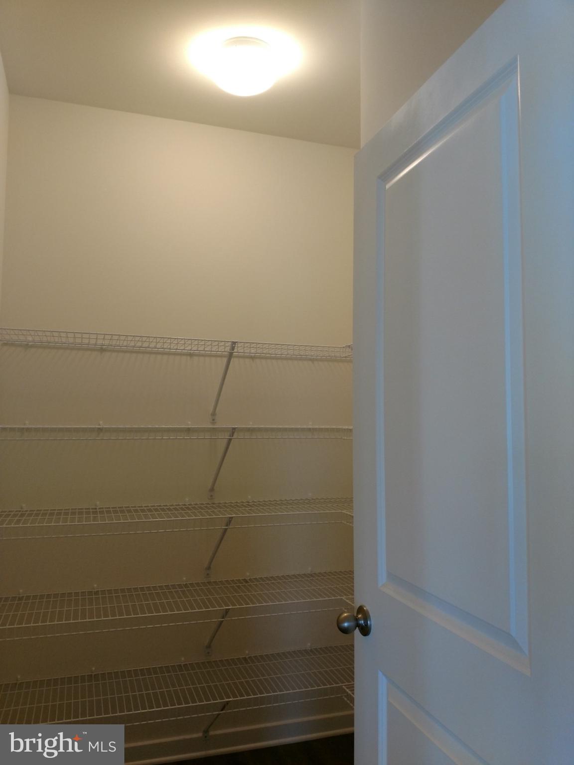 924 Robinson Road Townsend, DE 19734 - Photo 27 of 44 Walk-in pantry