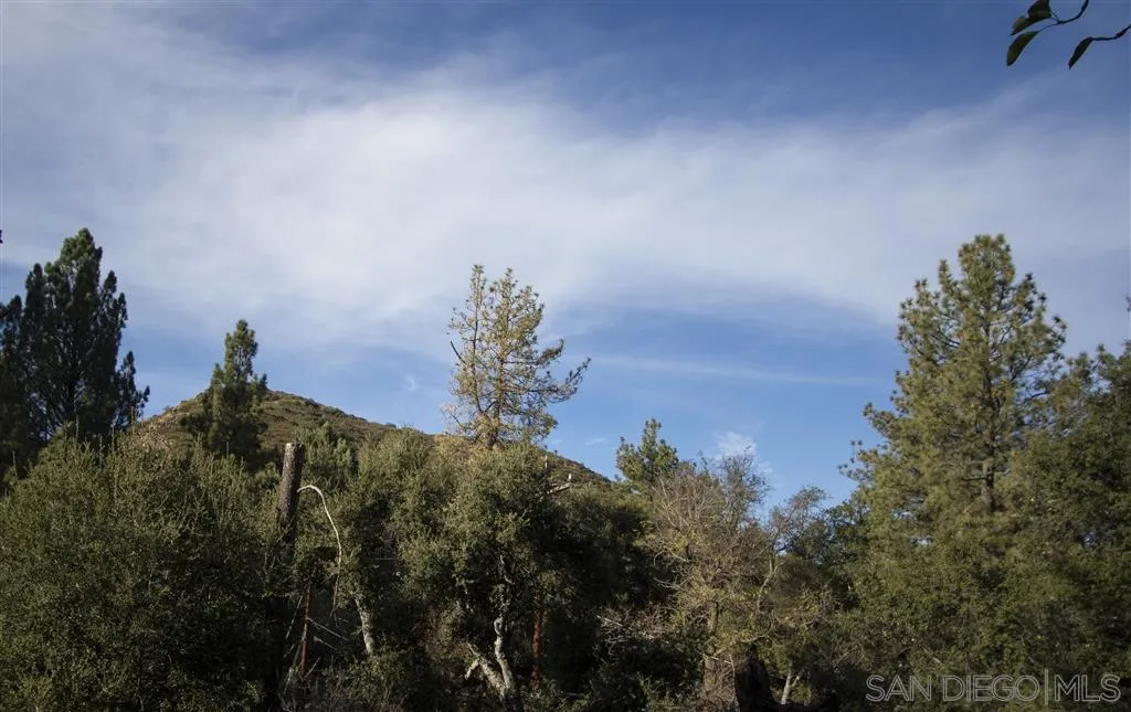 72 Corte Madera Road Pine Valley, CA 91962 - Photo 13 of 14 Gallery Image 13
