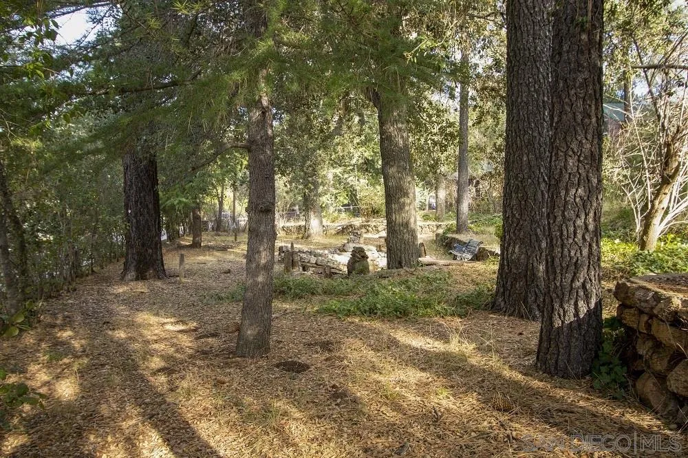 72 Corte Madera Road Pine Valley, CA 91962 - Photo 10 of 14 Gallery Image 10