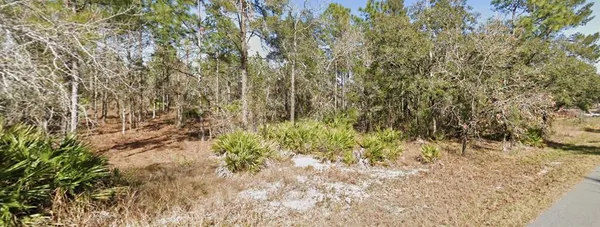 $59,900 | 11323 Furley Avenue, Weeki Wachee, FL 34613