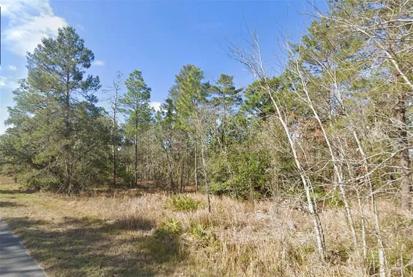 $59,900 | 11323 Furley Avenue, Weeki Wachee, FL 34613