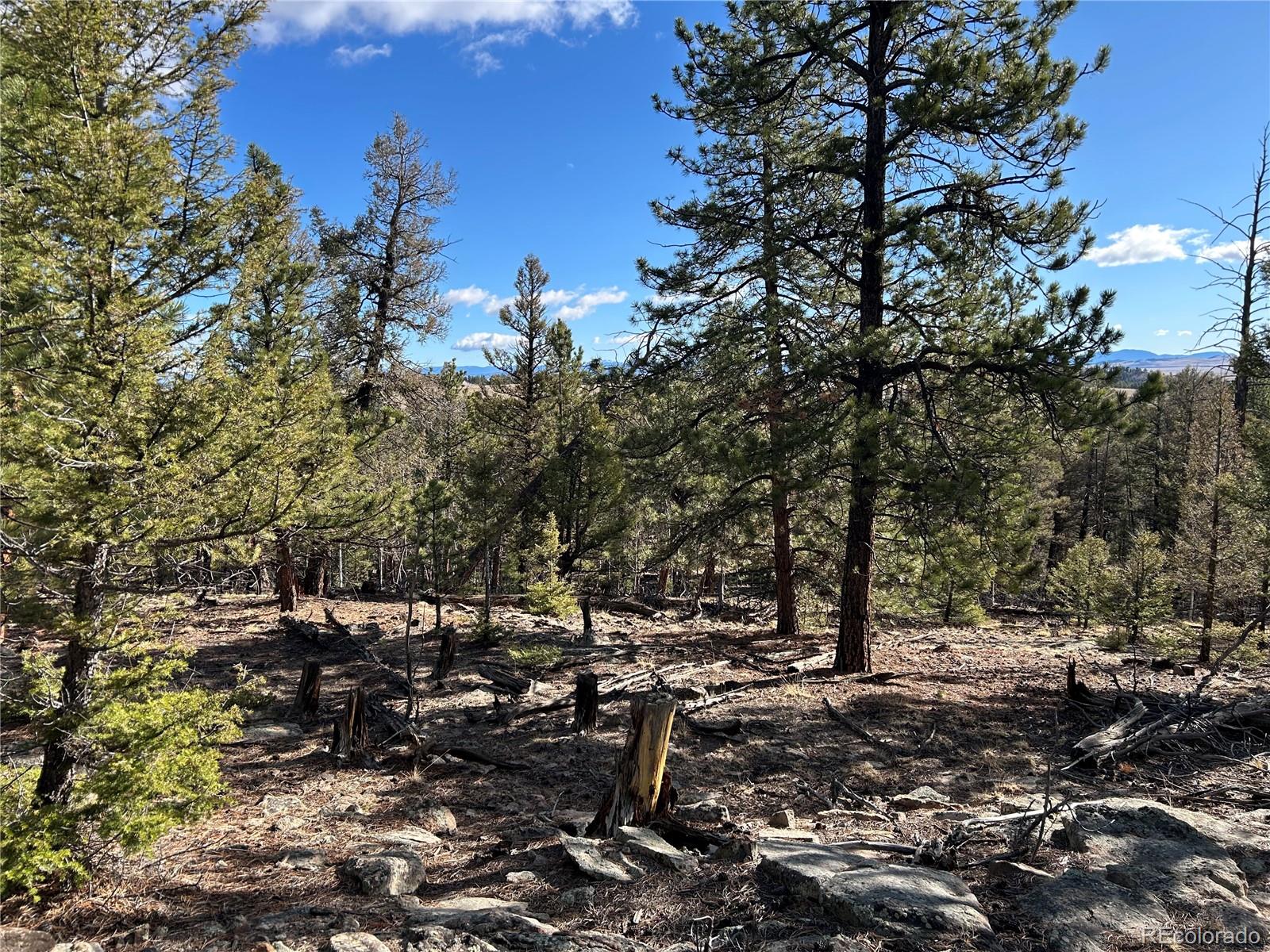 1581 Bellows Road Hartsel, CO 80449 - Photo 11 of 13