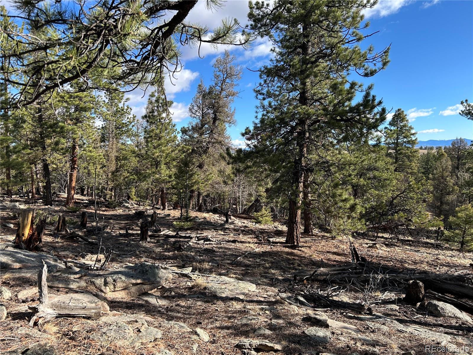 1581 Bellows Road Hartsel, CO 80449 - Photo 12 of 13