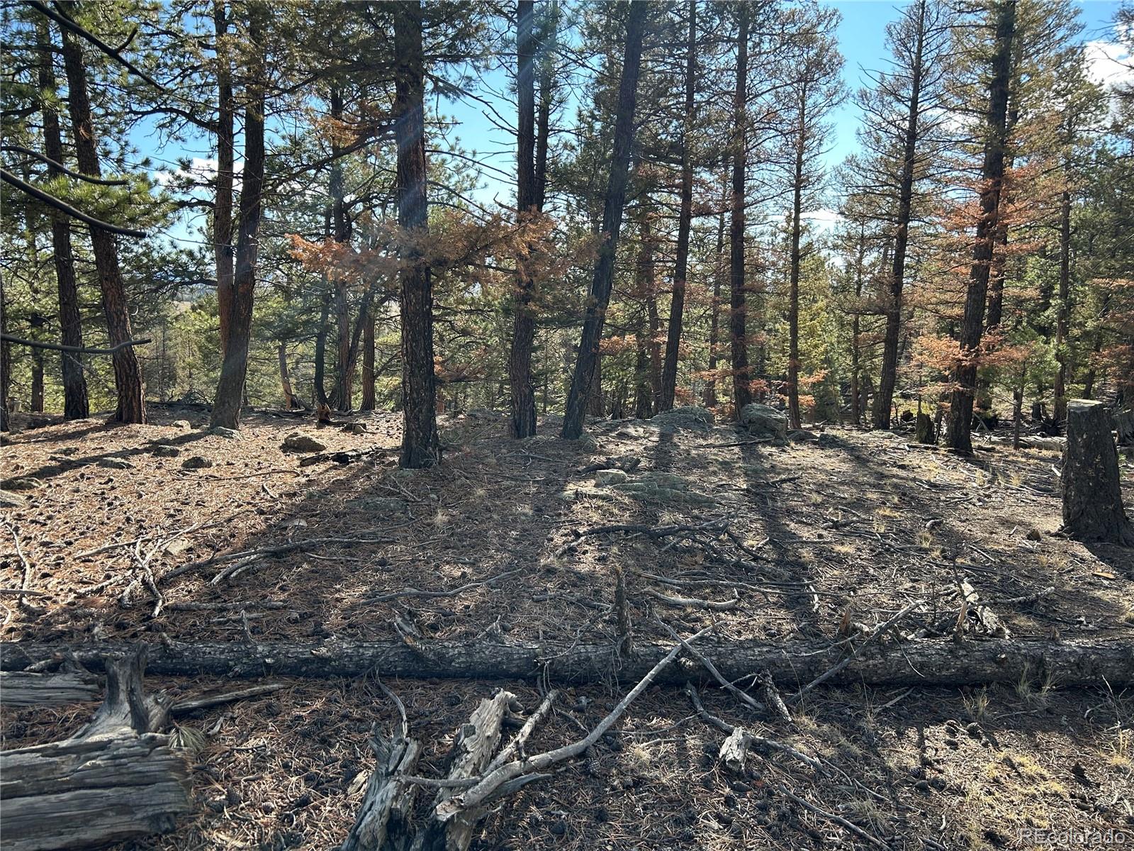 1581 Bellows Road Hartsel, CO 80449 - Photo 13 of 13