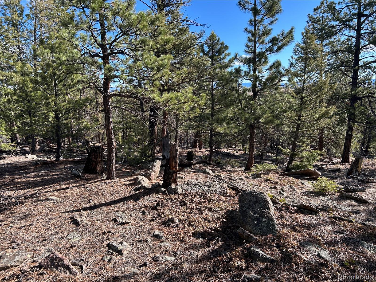 1581 Bellows Road Hartsel, CO 80449 - Photo 5 of 13