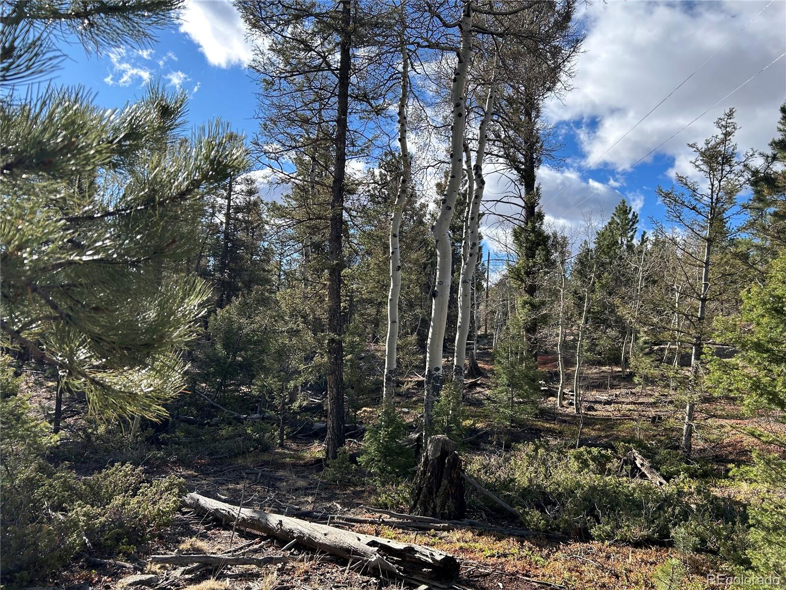 1581 Bellows Road Hartsel, CO 80449 - Photo 6 of 13