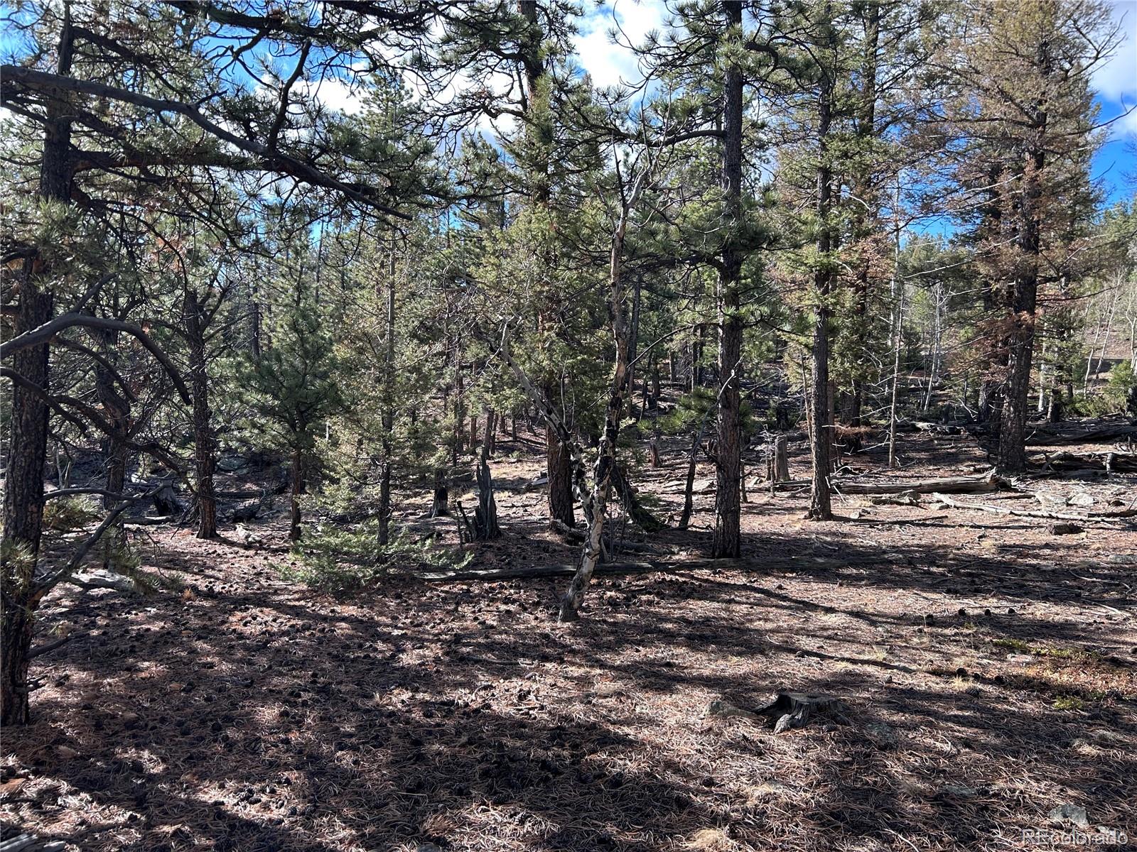 1581 Bellows Road Hartsel, CO 80449 - Photo 8 of 13