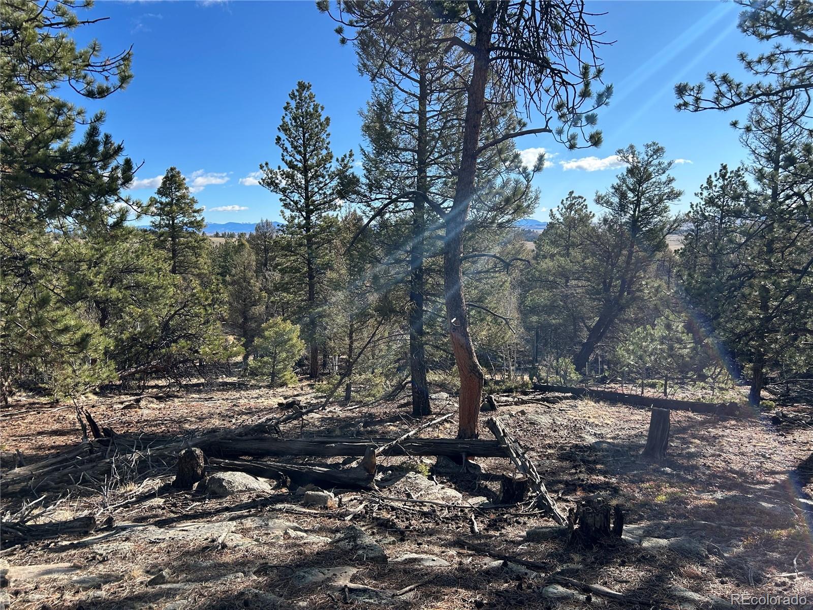 1581 Bellows Road Hartsel, CO 80449 - Photo 10 of 13