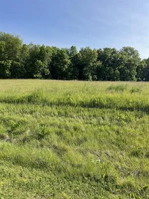 a view of a green field