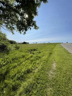 a view of a field with trees in background