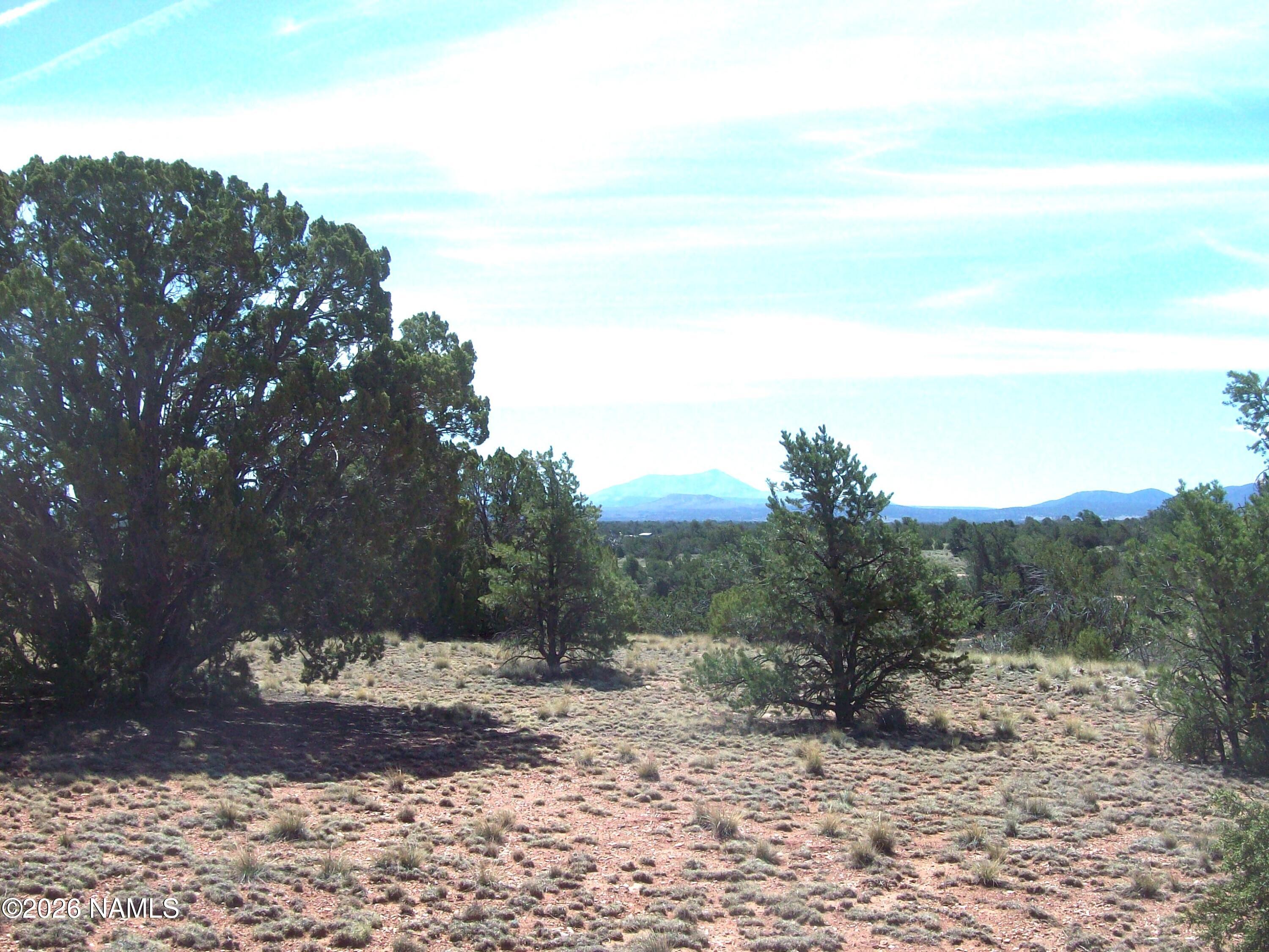 1650 South Kaibab Road Williams, AZ 86046 - Photo 6 of 12 100_0395