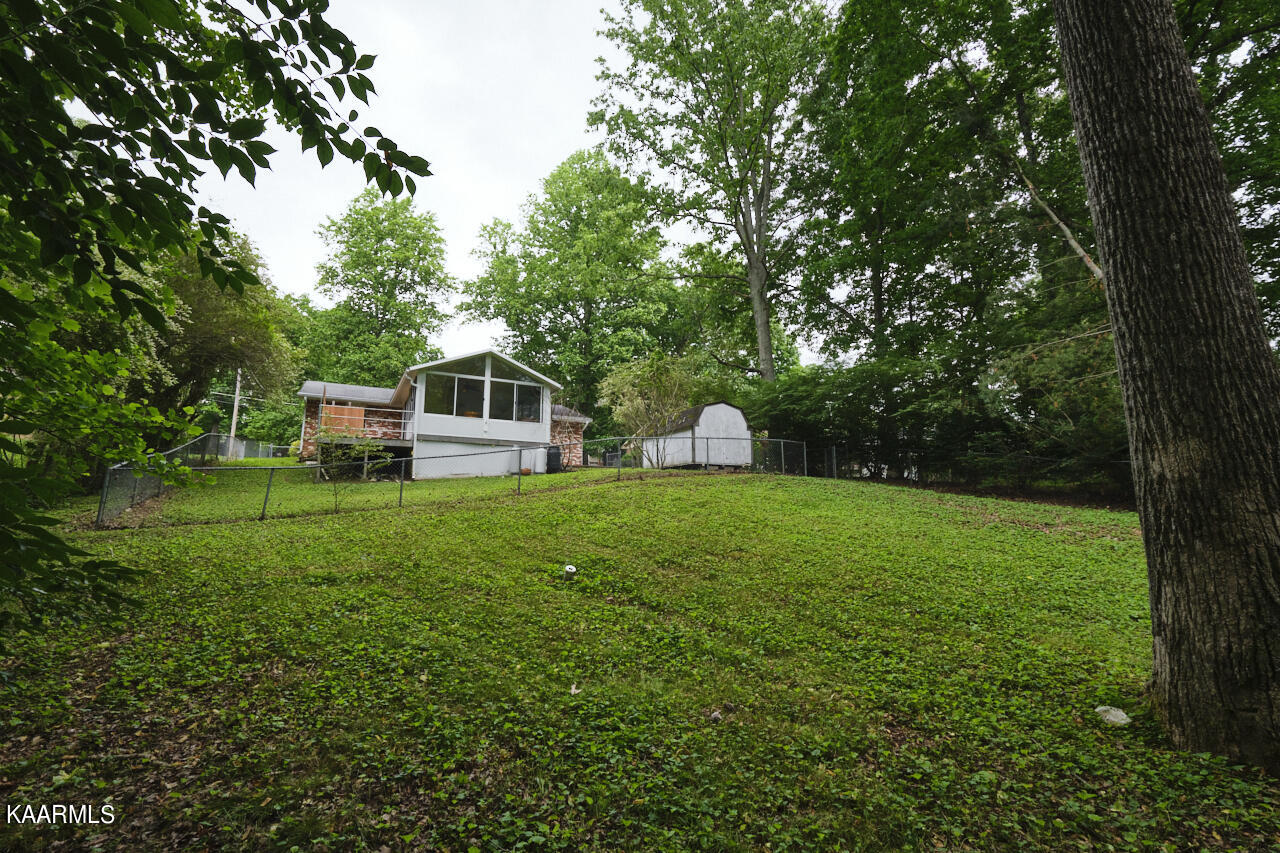 5408 Foxwood Road Knoxville, TN 37921 - Photo 15 of 44 Backyard