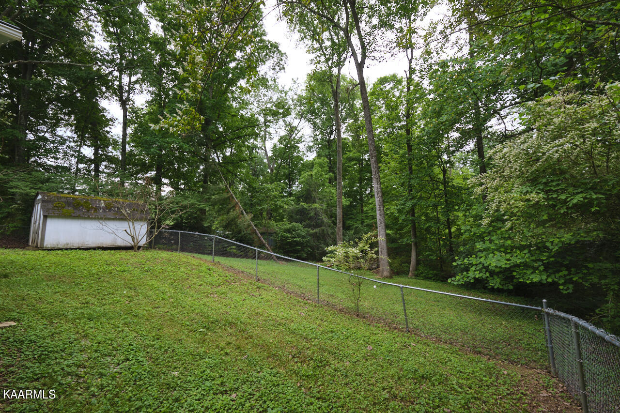 5408 Foxwood Road Knoxville, TN 37921 - Photo 19 of 44 Fenced in Backyard