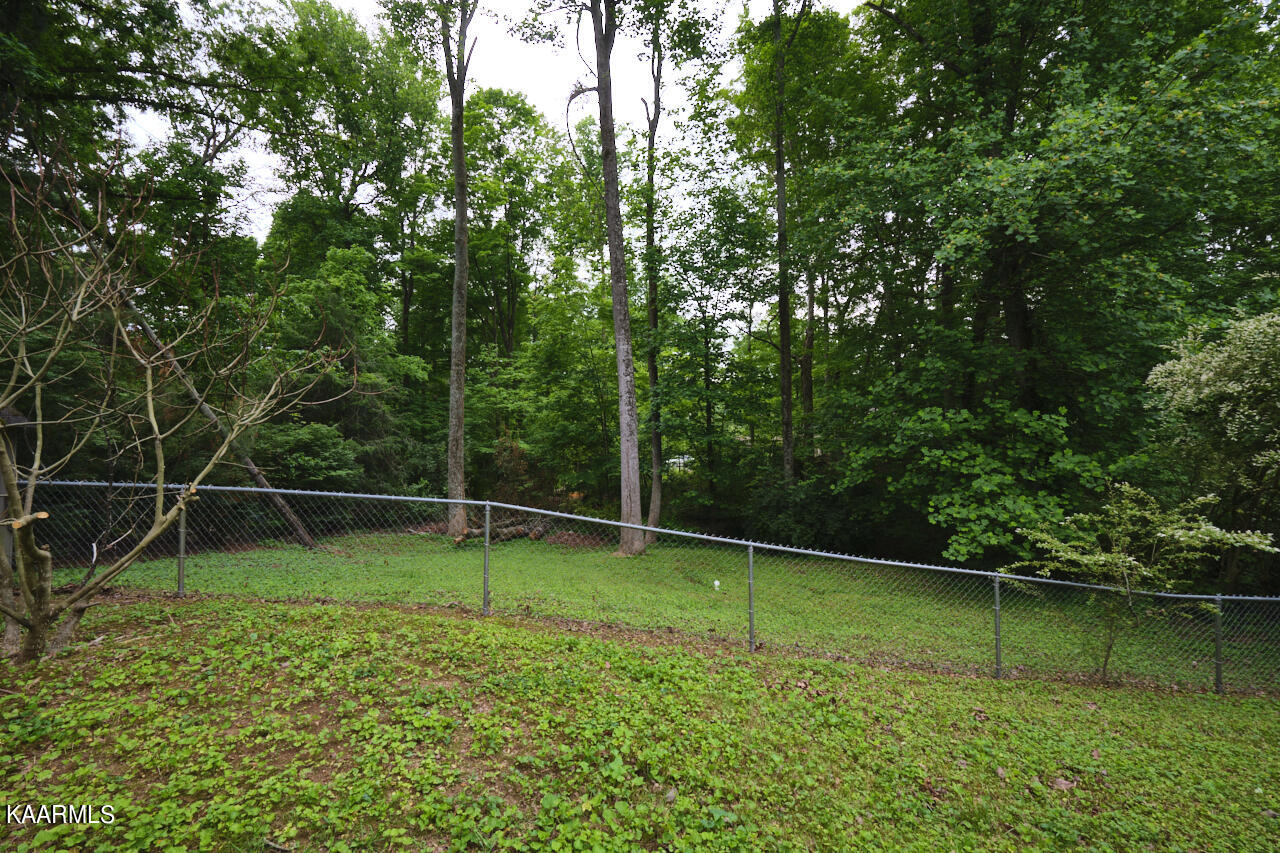 5408 Foxwood Road Knoxville, TN 37921 - Photo 22 of 44 Backyard