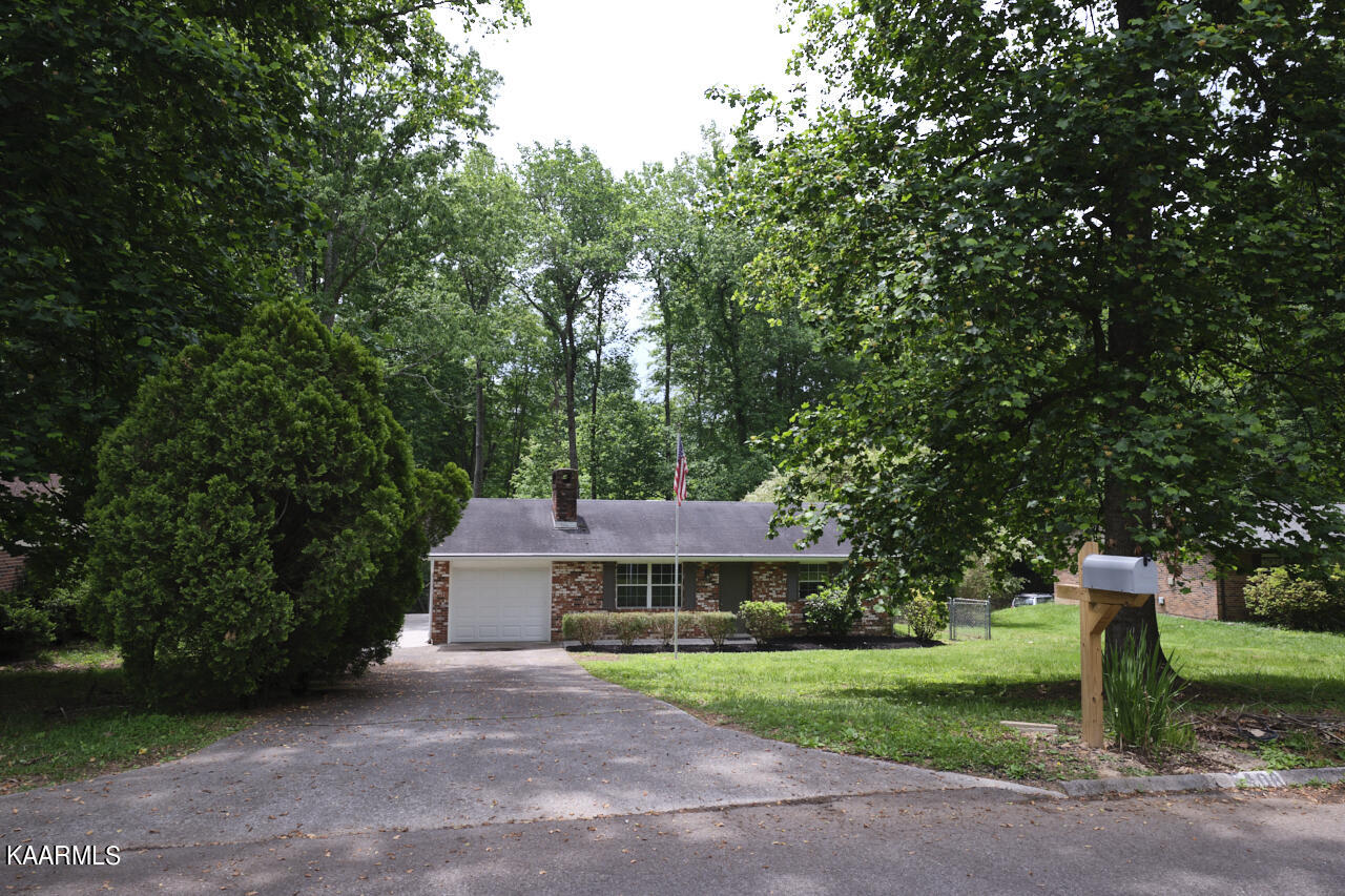 5408 Foxwood Road Knoxville, TN 37921 - Photo 26 of 44 Front yard from Street.