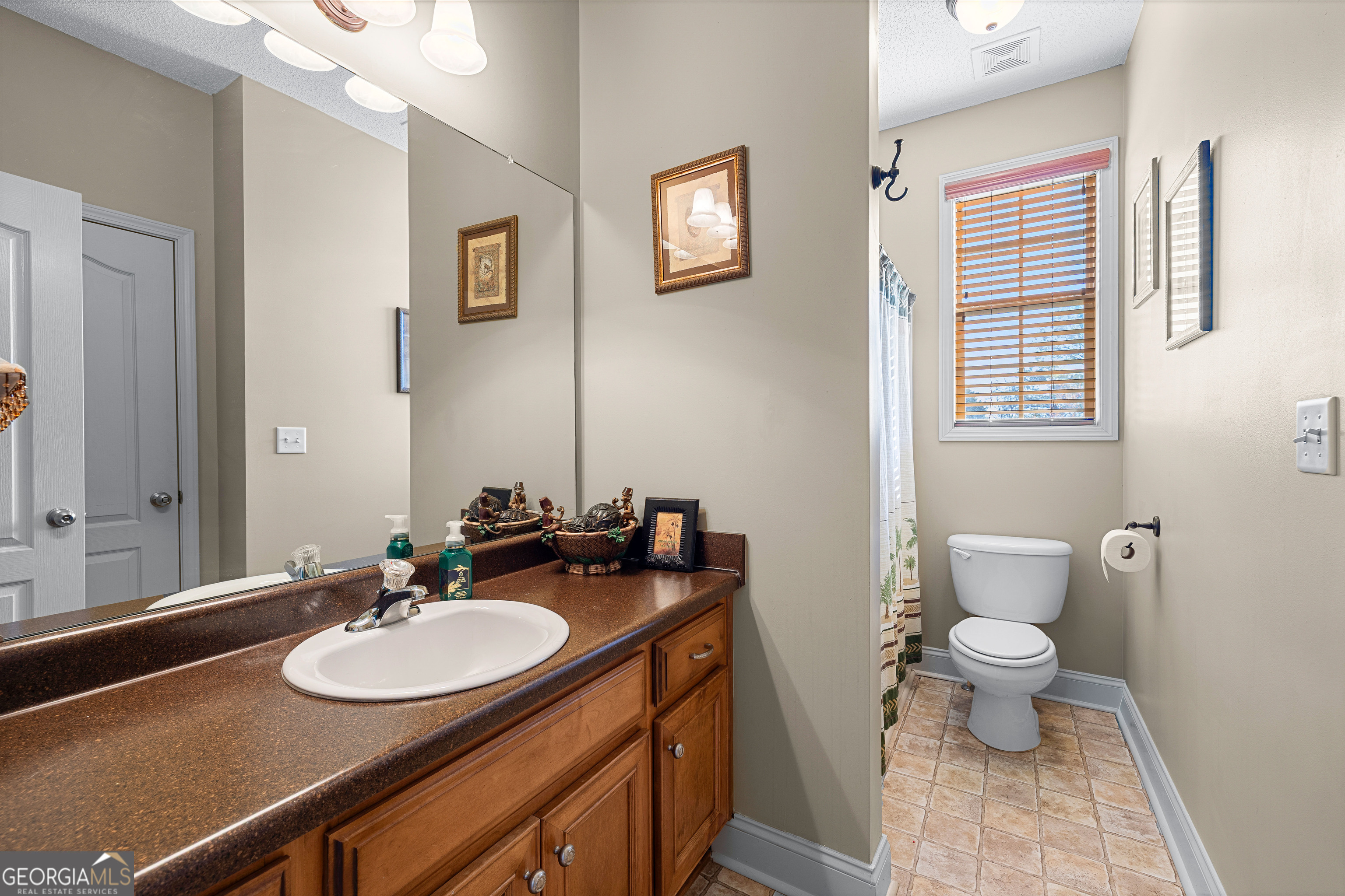 21 Hunters Overlook Drive Senoia, GA 30276 - Photo 25 of 37 a bathroom with a sink double vanity and a toilet