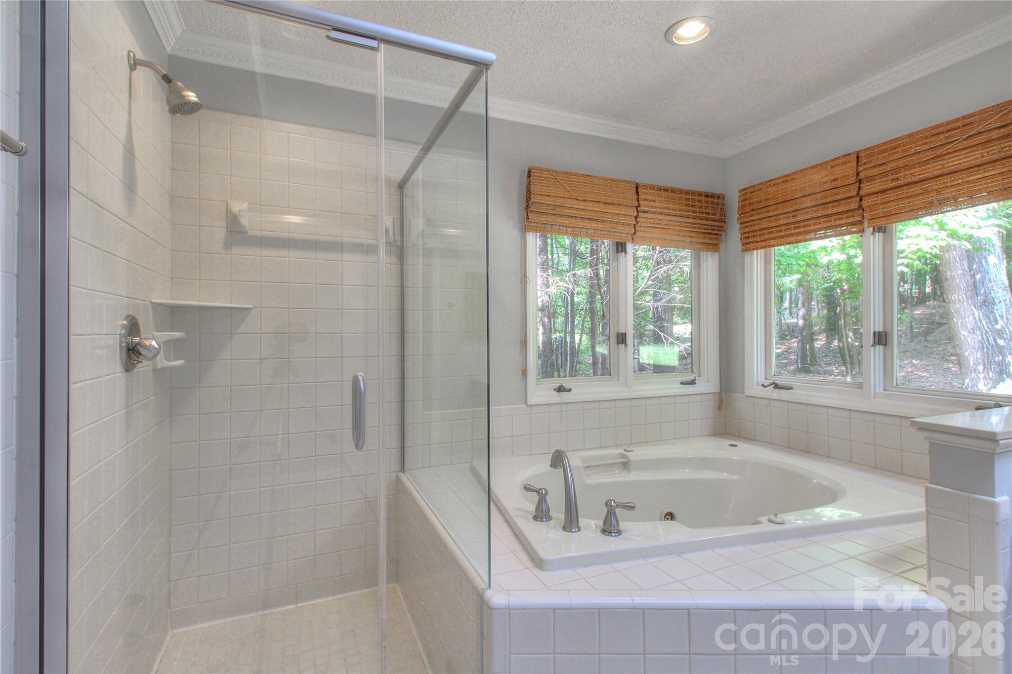 3408 Providence Manor Road Charlotte, NC 28270 - Photo 23 of 39 a bathroom with a tub a window and a shower