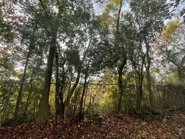 $1,300 | 3111 Matipan Avenue, Unit B, North Charleston, SC 29405