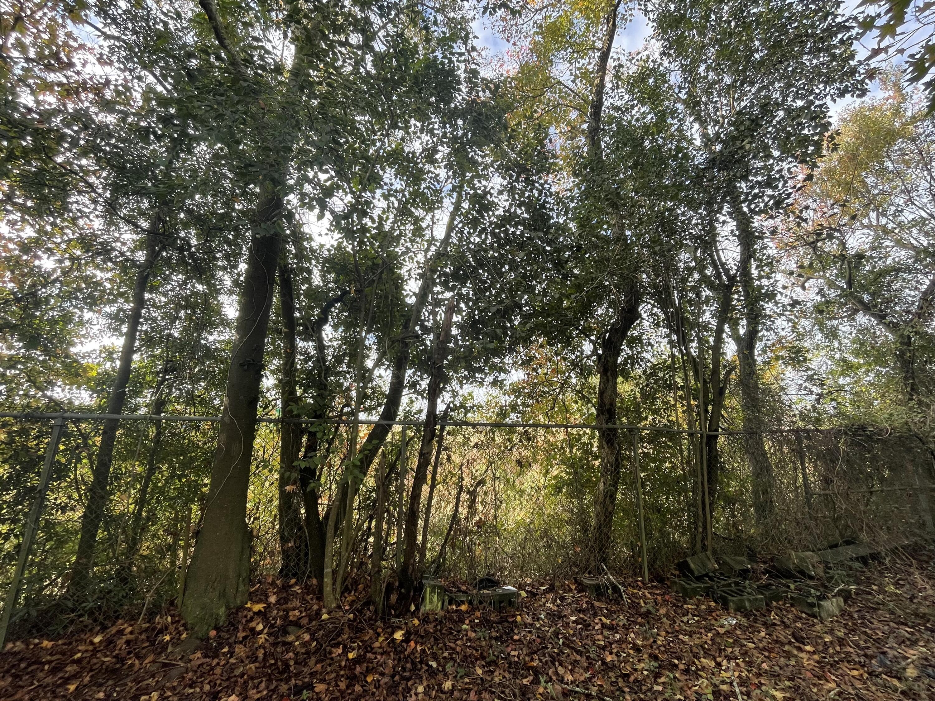 3111 Matipan Avenue, Unit B North Charleston, SC 29405 - Photo 9 of 9 IMG_5100