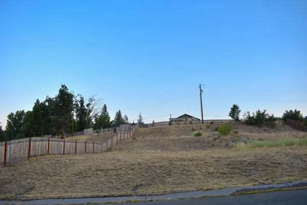 a view of a dry yard