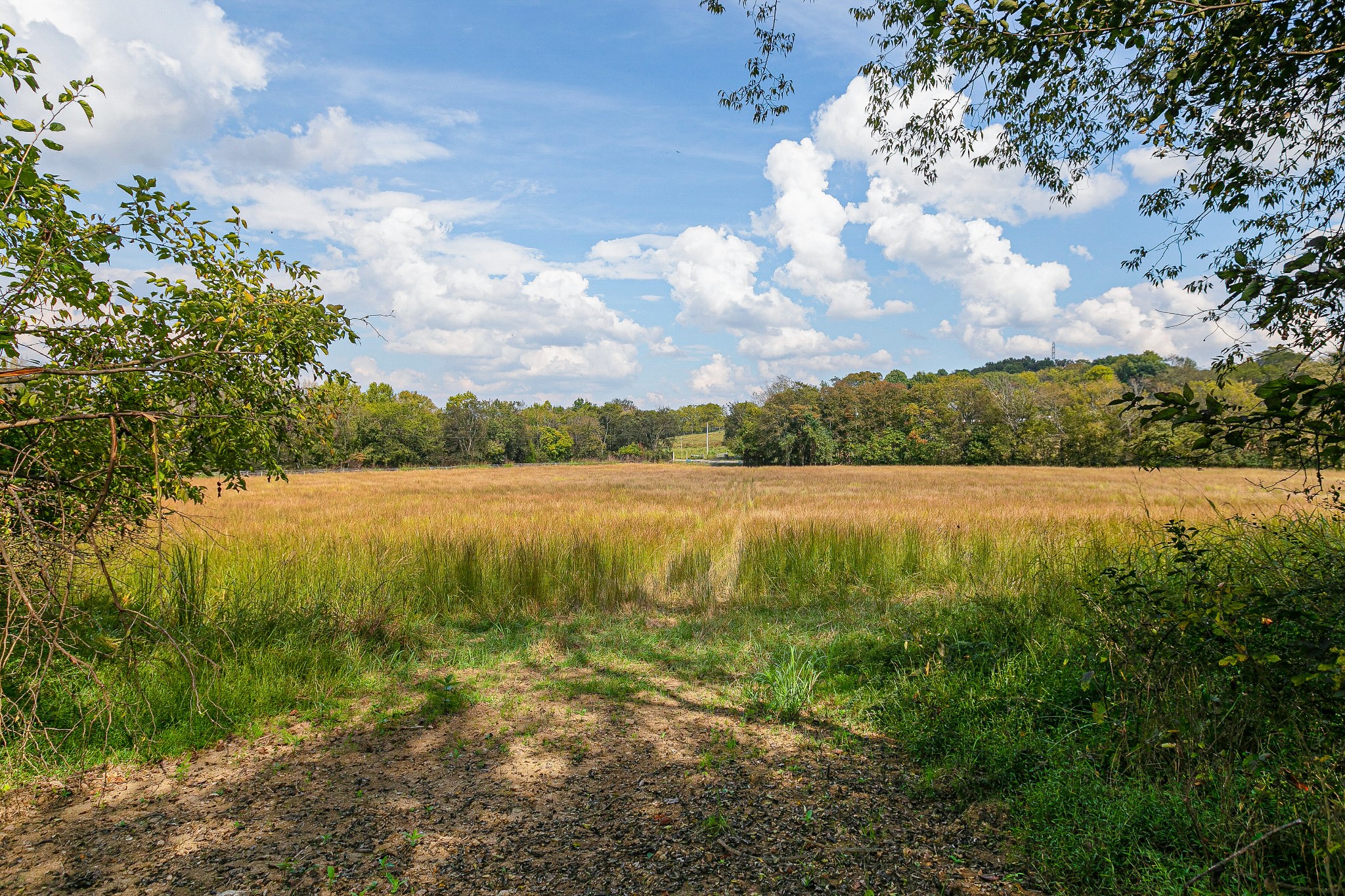 0 Dry Creek Road Mount Pleasant, TN 38474 - Photo 1 of 25 Gallery Image 1