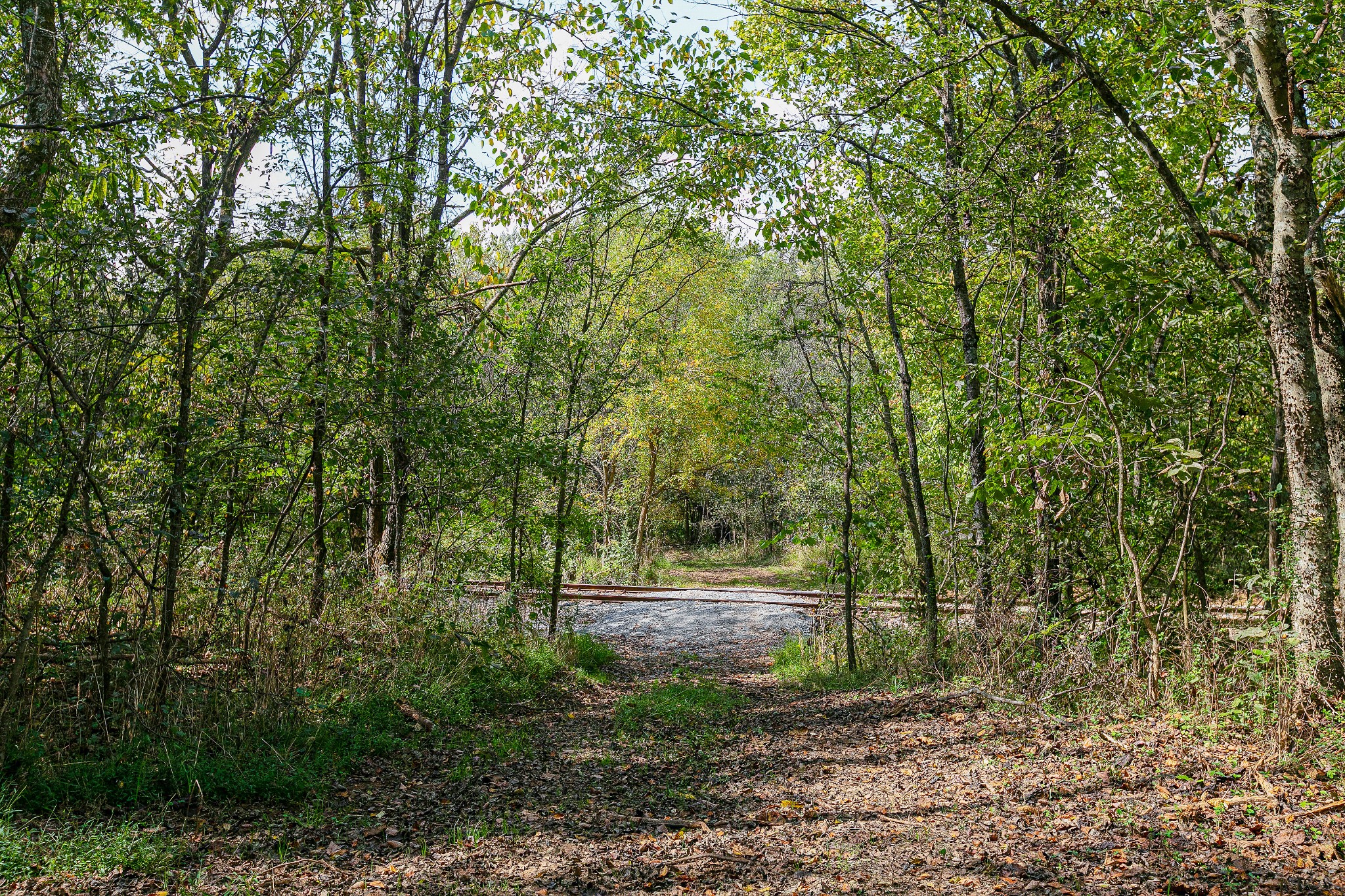 0 Dry Creek Road Mount Pleasant, TN 38474 - Photo 12 of 25 Gallery Image 12