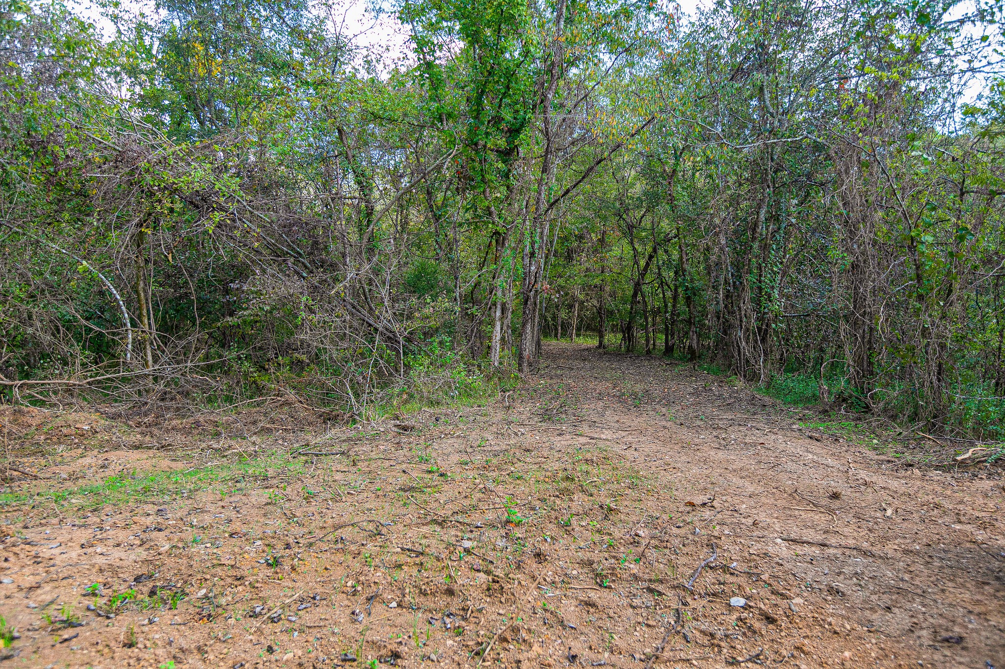 0 Dry Creek Road Mount Pleasant, TN 38474 - Photo 15 of 25 Gallery Image 15