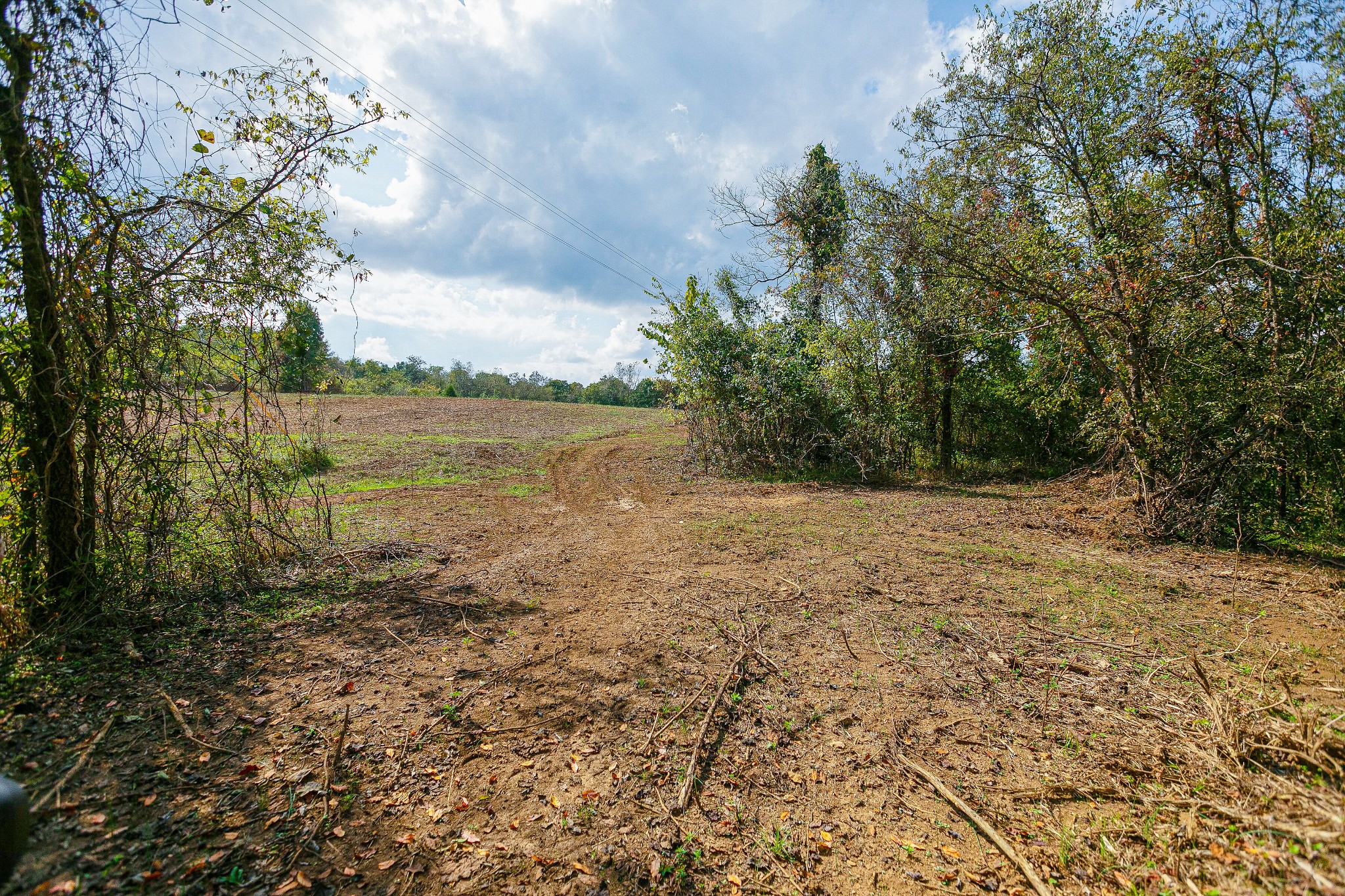 0 Dry Creek Road Mount Pleasant, TN 38474 - Photo 16 of 25 Gallery Image 16