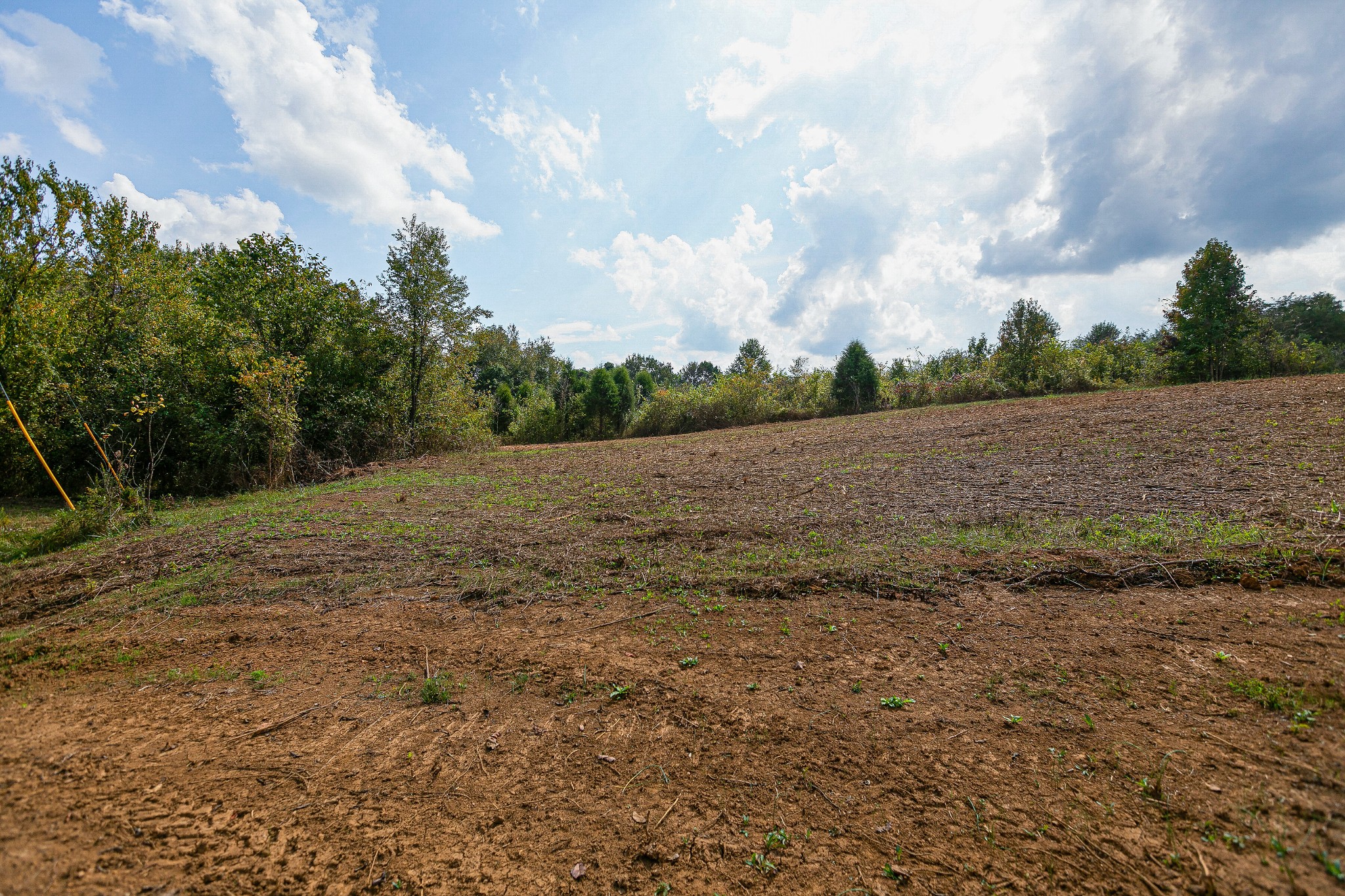 0 Dry Creek Road Mount Pleasant, TN 38474 - Photo 17 of 25 Gallery Image 17