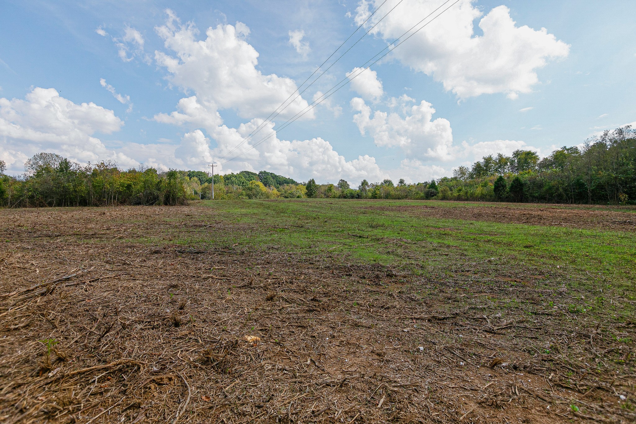 0 Dry Creek Road Mount Pleasant, TN 38474 - Photo 18 of 25 Gallery Image 18