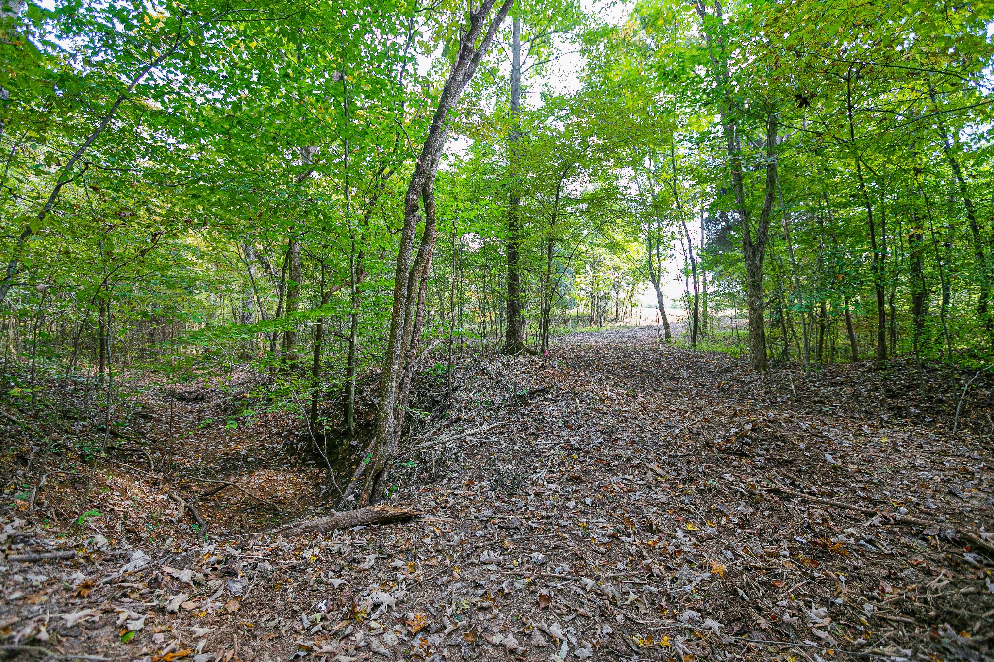 0 Dry Creek Road Mount Pleasant, TN 38474 - Photo 20 of 25 Gallery Image 20