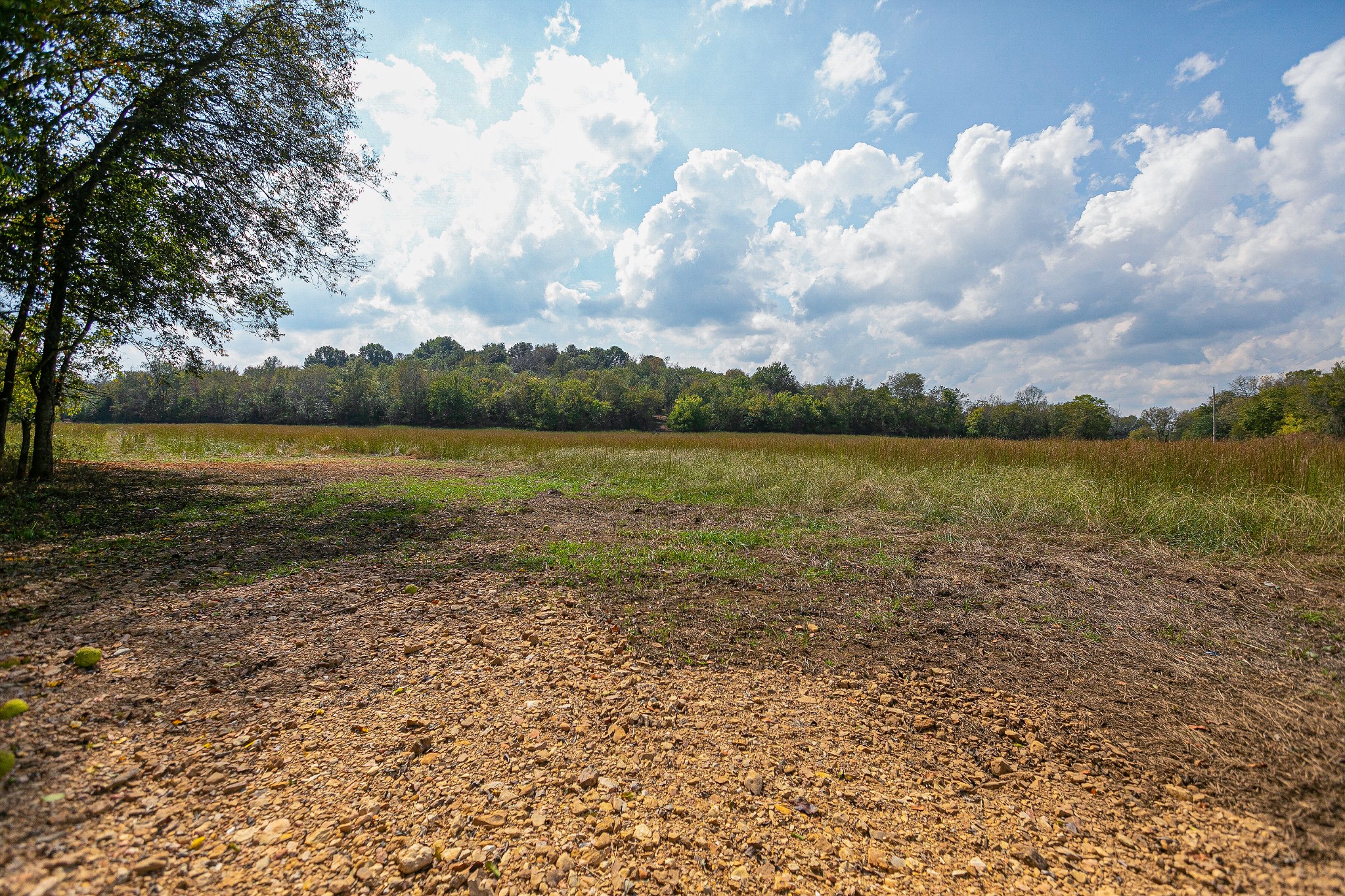 0 Dry Creek Road Mount Pleasant, TN 38474 - Photo 3 of 25 Gallery Image 3