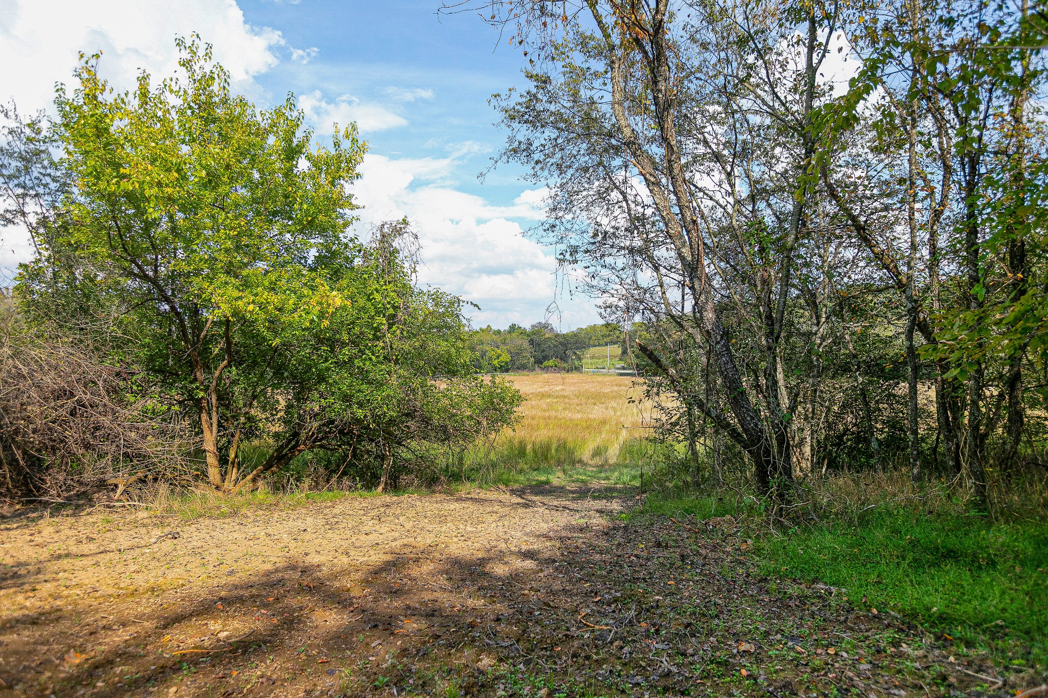 0 Dry Creek Road Mount Pleasant, TN 38474 - Photo 25 of 25 Gallery Image 25
