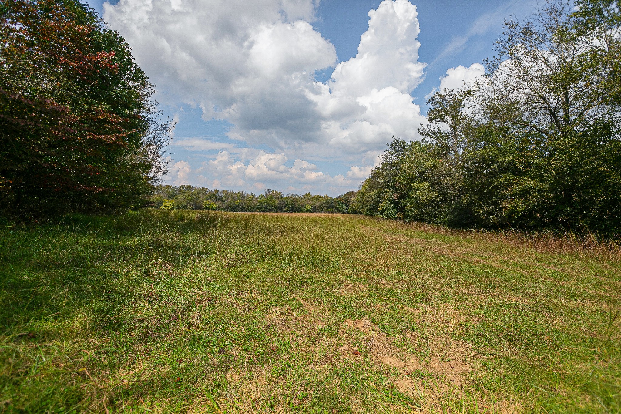 0 Dry Creek Road Mount Pleasant, TN 38474 - Photo 4 of 25 Gallery Image 4