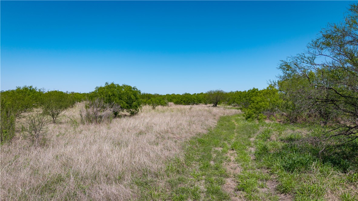 Tr 4 Fm 735 Alice, TX 78332 - Photo 13 of 39 a view of a lake with a city view