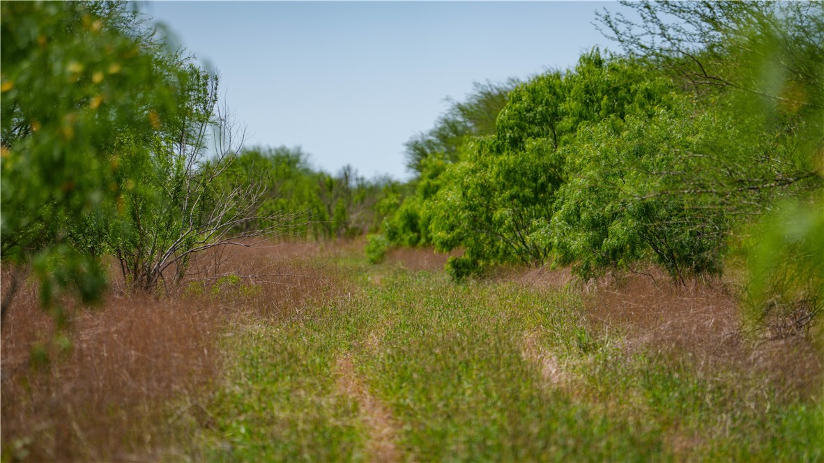 Tr 4 Fm 735 Alice, TX 78332 - Photo 18 of 39 a view of a garden